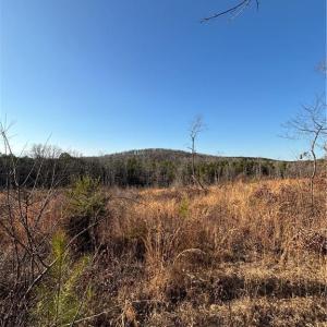 Photo #5 of Homestead, Trinity, NC 33.4 acres