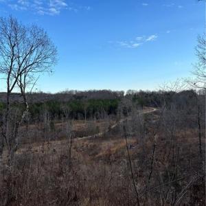 Photo #10 of Homestead, Trinity, NC 33.4 acres
