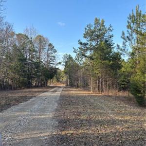 Photo #15 of Homestead, Trinity, NC 33.4 acres