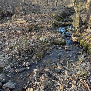 Photo #11 of Homestead, Trinity, NC 33.4 acres