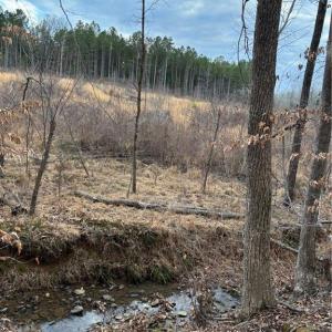 Photo #4 of Homestead, Trinity, NC 33.4 acres