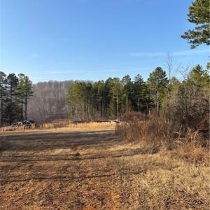 Photo #8 of Homestead, Trinity, NC 33.4 acres