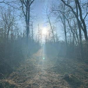 Photo #13 of 2117 Slate Mine, Denton, NC 75.3 acres