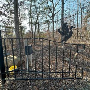 Photo #12 of 2117 Slate Mine, Denton, NC 75.3 acres