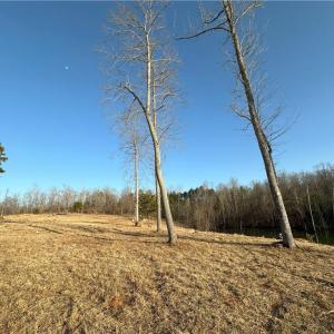 Photo #32 of 2117 Slate Mine, Denton, NC 75.3 acres