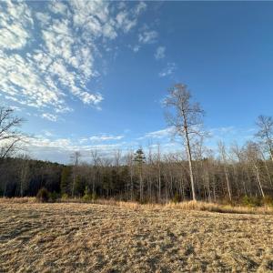 road from building to ponds cleared acreage