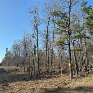 Rough estimate on properties lines.  Note the powerline to the left.  The bottom corner is approximately around the posted sign in the next pic for reference.