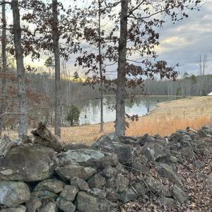 2nd pond - approx. ½ acre spring-fed with a feeder on floater
