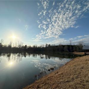 Pond - fully engineered 2+ acre, 20+ft deep with aerators and feeders to support the smallmouth bass, brim and shellcracker habitat.