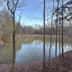 Cleared acreage looking from main trail with large pond to left and behind this picture.