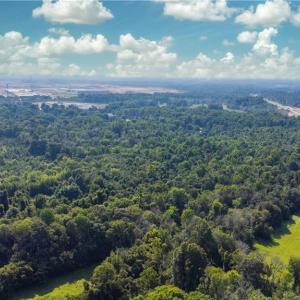 Photo #5 of Deviney, Julian, NC 40.8 acres