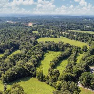 Photo #4 of Deviney, Julian, NC 40.8 acres