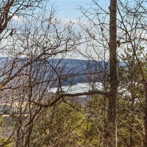 Photo #2 of 1026 Sierra Trace, Denton, NC 4.7 acres