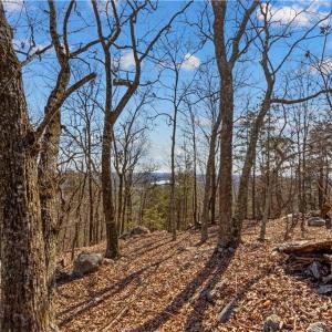 Photo #3 of 1026 Sierra Trace, Denton, NC 4.7 acres