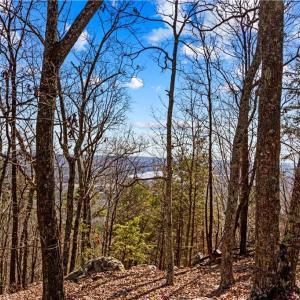 Photo #1 of 1026 Sierra Trace, Denton, NC 4.7 acres