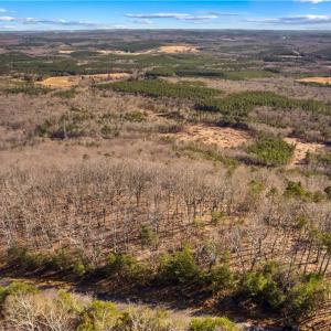 Photo #10 of 1026 Sierra Trace, Denton, NC 4.7 acres
