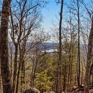 Photo #4 of 1026 Sierra Trace, Denton, NC 4.7 acres