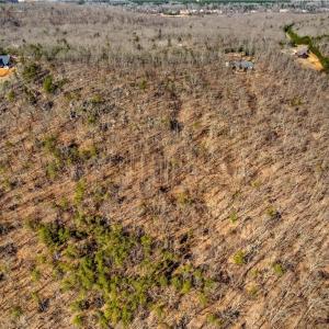 Photo #8 of 1026 Sierra Trace, Denton, NC 4.7 acres