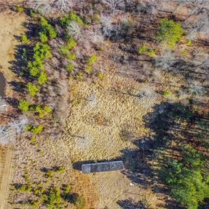 Photo #7 of 1222 Tempting Church, Sanford, NC 8.0 acres