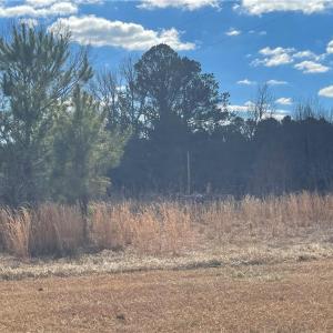 Photo #3 of 1222 Tempting Church, Sanford, NC 8.0 acres
