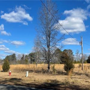 Photo #1 of 1222 Tempting Church, Sanford, NC 8.0 acres