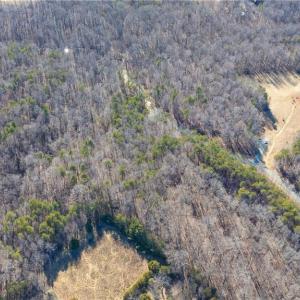 Photo #12 of Lyla's, Efland, NC 2.3 acres