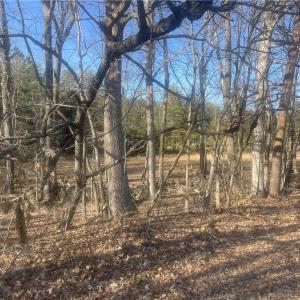 Photo #6 of 709 Brigham, Greensboro, NC 4.2 acres