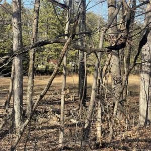Photo #12 of 709 Brigham, Greensboro, NC 4.2 acres