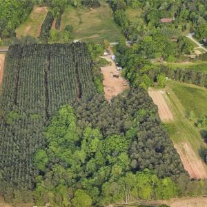 Photo #29 of 709 Brigham, Greensboro, NC 4.2 acres