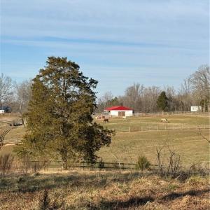 Photo #6 of 1044 Yadkin Valley, Advance, NC 14.4 acres