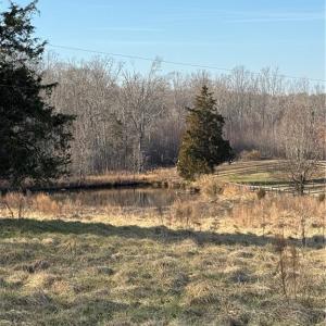 Photo #7 of 1044 Yadkin Valley, Advance, NC 14.4 acres