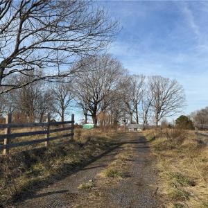 Photo #3 of 1044 Yadkin Valley, Advance, NC 14.4 acres