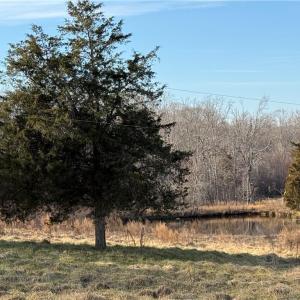 Photo #9 of 1044 Yadkin Valley, Advance, NC 14.4 acres