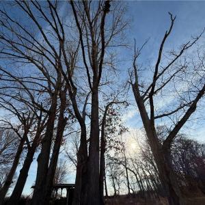 Photo #10 of 1044 Yadkin Valley, Advance, NC 14.4 acres