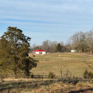 Photo #8 of 1044 Yadkin Valley, Advance, NC 14.4 acres