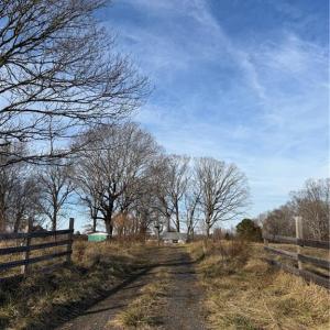 Photo #2 of 1044 Yadkin Valley, Advance, NC 14.4 acres