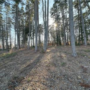 View from Sailor's Rest Drive