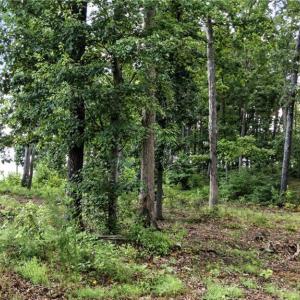 Photo #7 of 245 Sailors Rest, Lexington, NC 2.1 acres