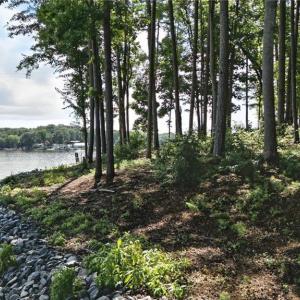 Photo #8 of 245 Sailors Rest, Lexington, NC 2.1 acres