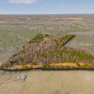 Photo #2 of Burgess Cattle, Siler City, NC 25.0 acres