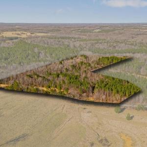 Photo #3 of Burgess Cattle, Siler City, NC 25.0 acres