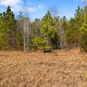 Photo #14 of Burgess Cattle, Siler City, NC 25.0 acres