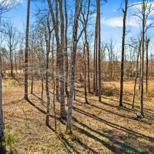Photo #17 of 1001 Old Hickory, Summerfield, NC 1.1 acres