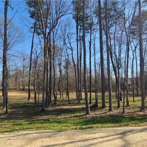 Photo #22 of 1001 Old Hickory, Summerfield, NC 1.1 acres