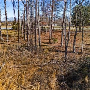 Photo #14 of 1001 Old Hickory, Summerfield, NC 1.1 acres