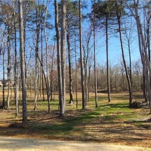 Photo #18 of 1001 Old Hickory, Summerfield, NC 1.1 acres