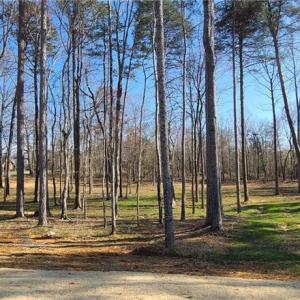 Photo #19 of 1001 Old Hickory, Summerfield, NC 1.1 acres