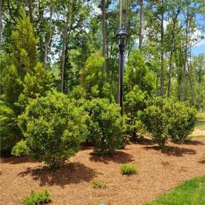 Photo #29 of 1001 Old Hickory, Summerfield, NC 1.1 acres