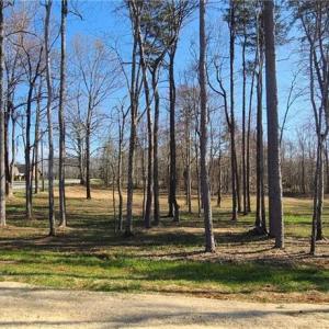 Photo #21 of 1001 Old Hickory, Summerfield, NC 1.1 acres