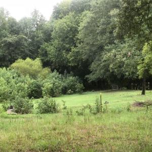 Photo #7 of 257 Willowlake, Greensboro, NC 22.0 acres